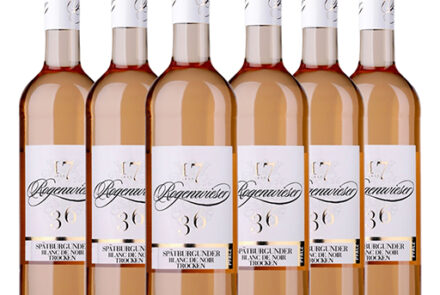 Karton Spätburgunder Blanc de Noir trocken  6x 0,75l