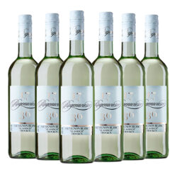 Karton Sauvignon Blanc trocken „klassisch“  6x 0,75l