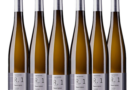 Karton Sauvignac 6x 0,75l