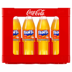Kasten Fanta Orange 12/1,0 PET