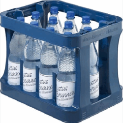 Kasten Justus-Brunnen spritzig 12/1,0