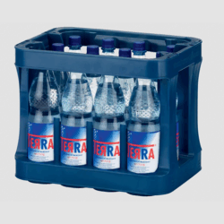 Kasten Terra Spritzig 12/1,0 PET