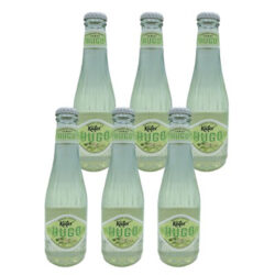 Karton Käfer Hugo 12x0,02l