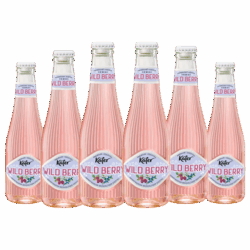 Karton Käfer Wild Berry 12x0,02l