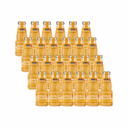 Kasten Cocktail Plant Mango Colada 10,1% 24/0,2