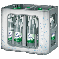 Kasten Elisabethen Quelle Bio Medium 12/0,75